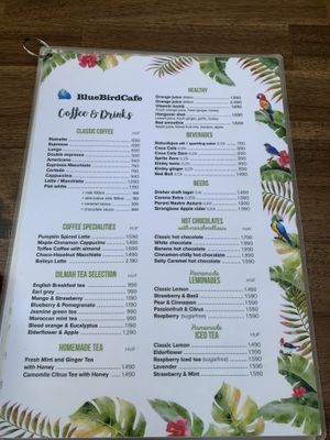   at Blue Bird Cafe in Budapest