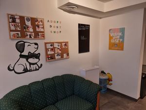 Interior at Zonder Ei Bakkerij in Ghent