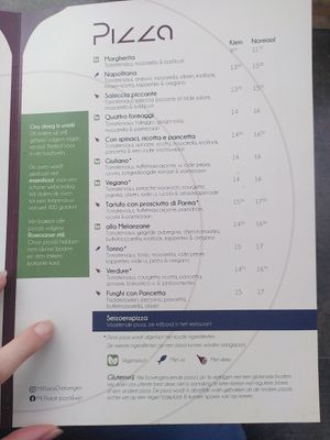 Pizza menu (only one vegan option) at Mi Piace in Driebergen-rijsenburg