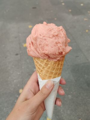 Guava & tamarillo on a vegan (and gluten-free cone) at DOPPO Gelataria in Coimbra