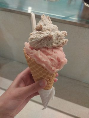 Roasted coconut and watermelon at DOPPO Gelataria in Coimbra