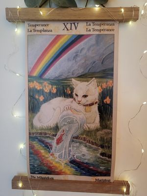  at Darc-en-Ciel in Seoul