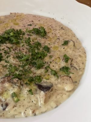 Mushroom risotto with a little touch of truffle oil on top    at Darc-en-Ciel in Seoul