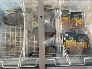 Frozens  at Estallido Vegano in Santiago