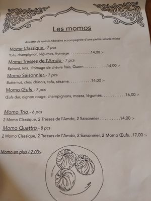 Les momos at Tibetan Convention Tea House in Florennes