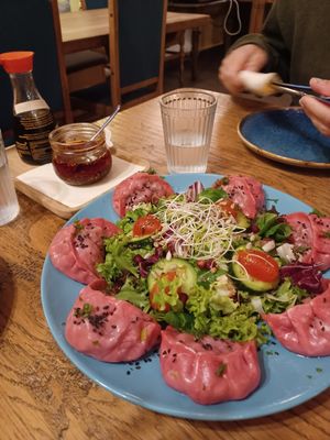 Delicious vegan momo's with salad at Tibetan Convention Tea House in Florennes