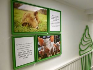 The shop has several frames with animal right and veganism messages! at Vegan Folie's in Paris