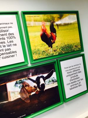 Interior information board at Vegan Folie's in Paris
