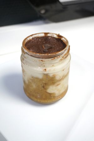 Tiramisu at Vegan Folie's in Paris