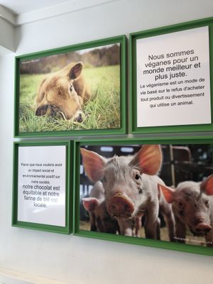 Paintings inside  at Vegan Folie's in Paris