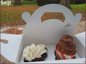 Vegan Cupcakes (chocolat/amande et beurre de cacahuète/chocolat) at Vegan Folie's in Paris