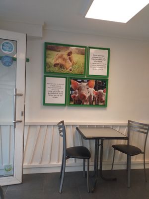 Interior at Vegan Folie's in Paris