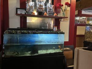   at Chopstix Asian Bistro in Rock Springs