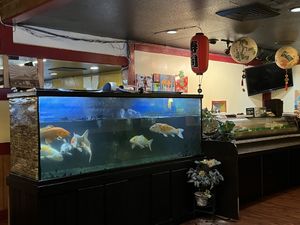   at Chopstix Asian Bistro in Rock Springs