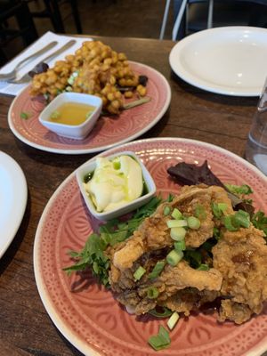 Oyster mushrooms  at Plants of Roselyn in South East London