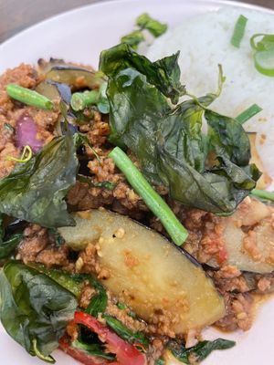 Aubergine Kra Pow  at Plants of Roselyn in South East London