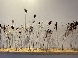   at Plants of Roselyn in South East London