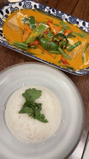 Hummingbird red curry and jasmine rice   at Plants of Roselyn in South East London