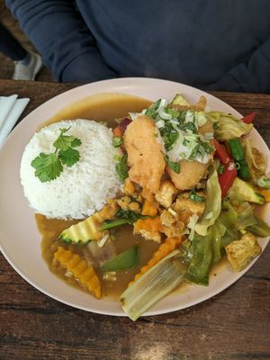 Katsu curry with pumpkin at Plants of Roselyn in South East London