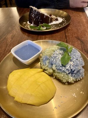   at Plants of Roselyn in South East London