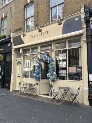 Easier to find if you know what it looks like from the outside!   at Plants of Roselyn in South East London