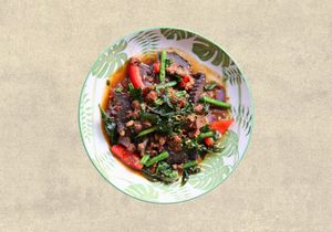 Aubergine Gra Pow at Plants of Roselyn in South East London