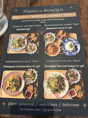 Protein Tropical Lunch Trays Menu  at Plants of Roselyn in South East London