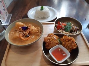 Curry tray (appetizer, main and a salad combo) at Plants of Roselyn in South East London