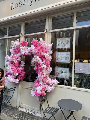   at Plants of Roselyn in South East London