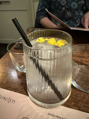 Koh Lanta Coconut Water  at Plants of Roselyn in South East London