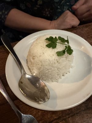Jasmine  at Plants of Roselyn in South East London