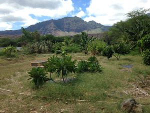 Waianae mountain view from back terrace. Best seat in the house. at Kahumana Organic Farm and Cafe in Waianae