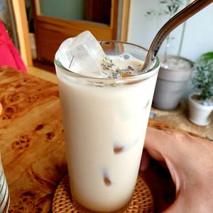  at Rooted 루티드 in Seoul