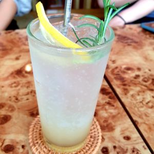  at Rooted 루티드 in Seoul