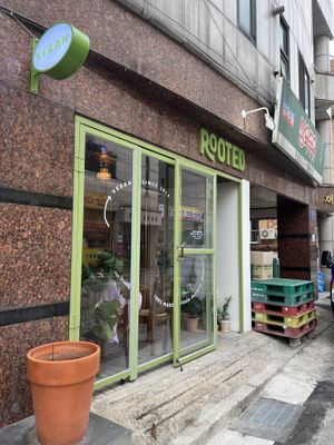   at Rooted 루티드 in Seoul