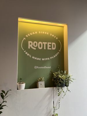   at Rooted 루티드 in Seoul