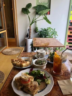  at Rooted 루티드 in Seoul