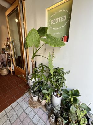   at Rooted 루티드 in Seoul