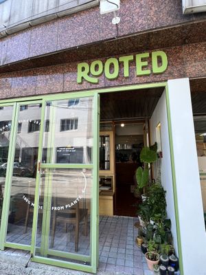   at Rooted 루티드 in Seoul