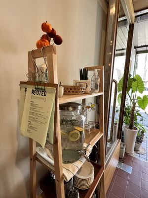   at Rooted 루티드 in Seoul