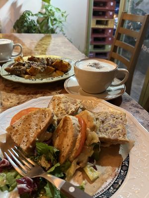   at Rooted 루티드 in Seoul