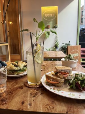   at Rooted 루티드 in Seoul