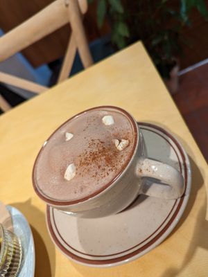  at Rooted 루티드 in Seoul