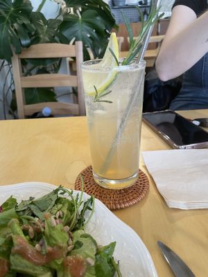   at Rooted 루티드 in Seoul