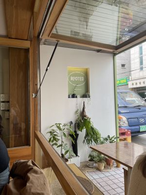   at Rooted 루티드 in Seoul