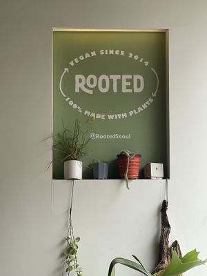   at Rooted 루티드 in Seoul