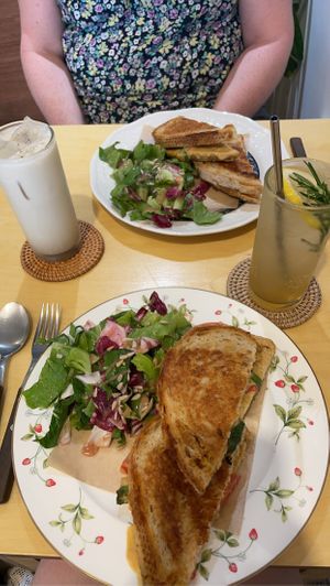   at Rooted 루티드 in Seoul