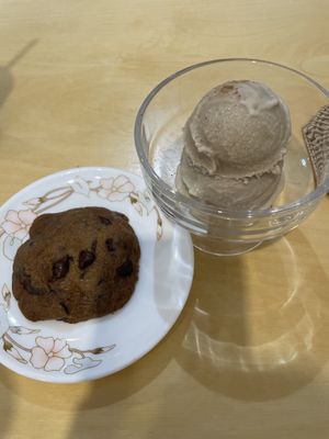   at Rooted 루티드 in Seoul