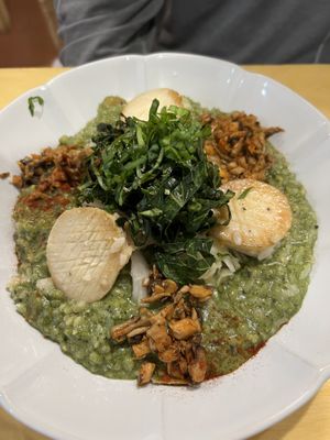 Pesto risotto with vegan shroom-scallop   at Rooted 루티드 in Seoul