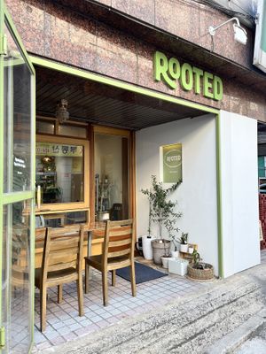   at Rooted 루티드 in Seoul